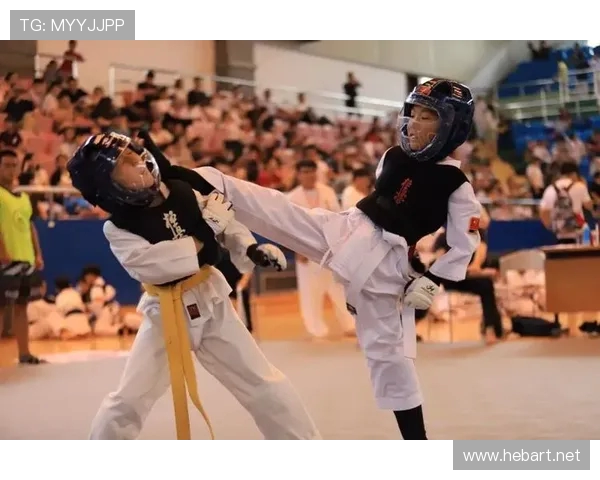 空手道竞技精神与现代体育训练融合发展的实践路径探索研究模式